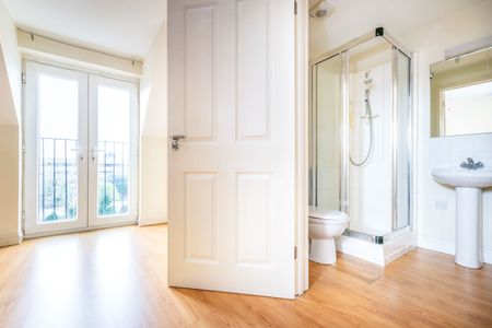 studio to rent Springfield Road, Horsham, West Sussex, RH12 - Photo 5