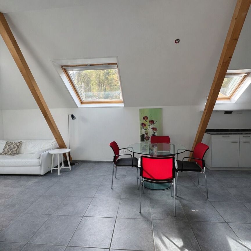 Living above the rooftops of Zurich Exclusive 2.5-room penthouse apartment with sunny terrace - Photo 1