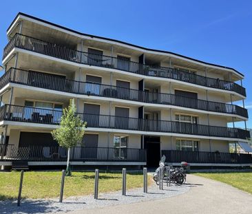 Ihre neue Wohnung - Foto 3