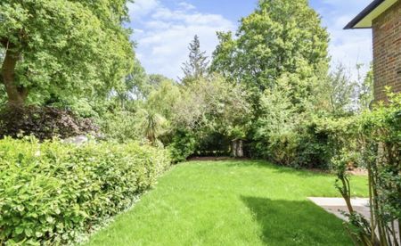 1 bedroom ground floor flat to rent - Photo 5