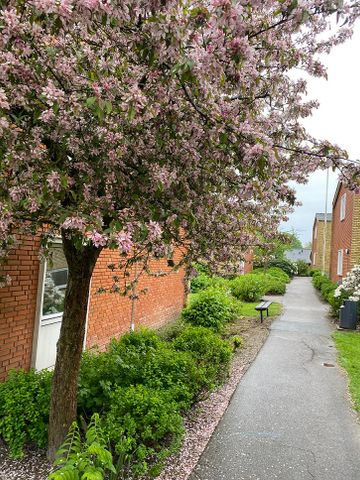 7800, Skive - Photo 4