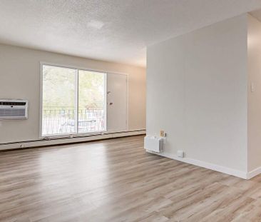 1 Bedroom - Photo 3
