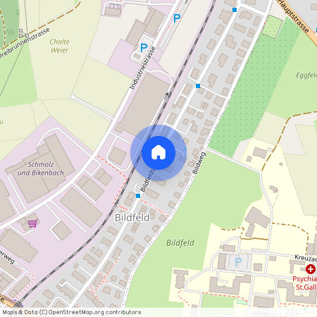 Bildfeldstrasse, 9552 Bronschhofen