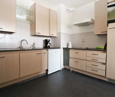 Zuiderterras - Photo 2