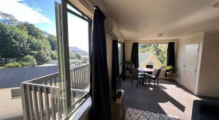 Sunny & warm fully furnished house in CBD - Photo 2