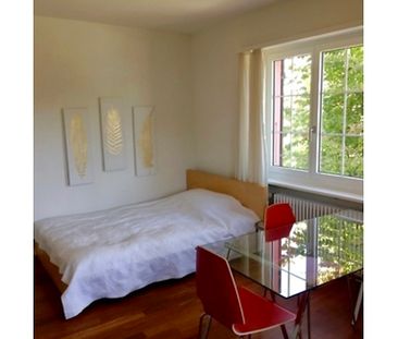 1 Zimmer-Wohnung in Liestal (BL), möbliert - Foto 5