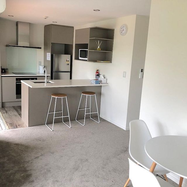 Modern apartment with plenty of goodies close by - Photo 1