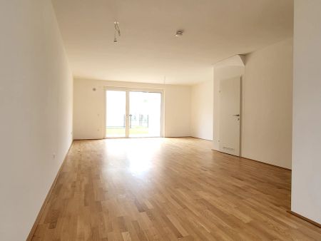 Erstbezug! Gefördertes Reihenhaus mit Terrasse und Garten, Top 7C - Foto 2