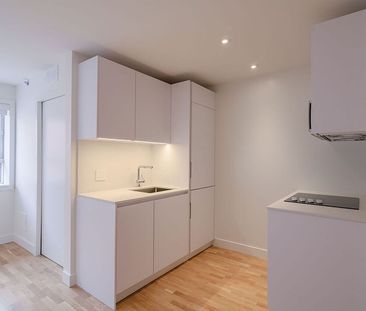 25 Avenue des Pins O, Montréal, QC - Photo 2