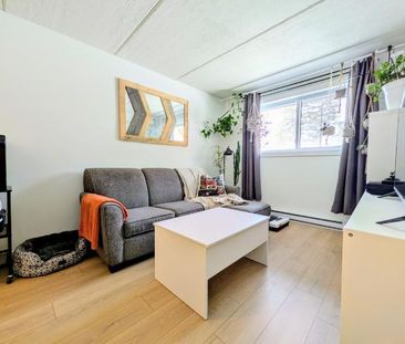 Appartement 3 ½ à louer Limoilou juillet 2026 - Photo 2