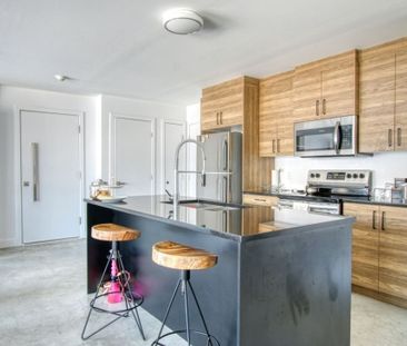 Appartement à louer - Longueuil (Saint-Hubert) (Centre) Appartement... - Photo 3