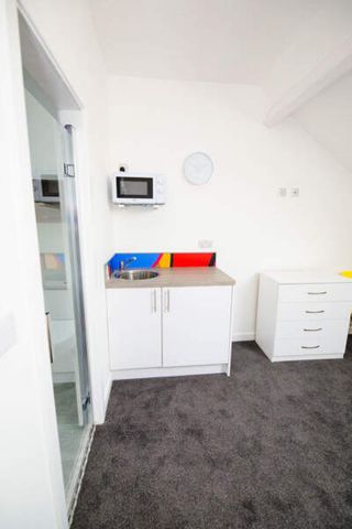 Large Ensuite Room – Gabriel Lofts, SA14NH - Photo 5