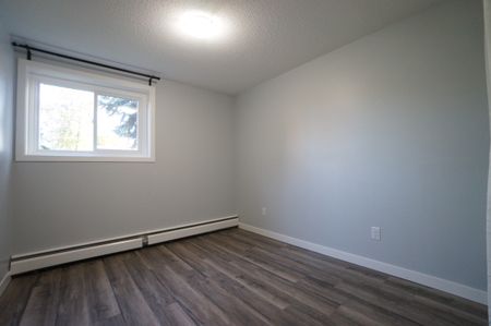 AMAZING newly reno'd Apartment in Lacombe! CATS OK! - Photo 4