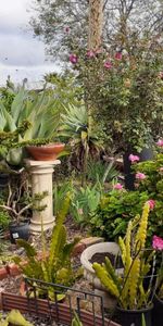 Elizabeth Downs - Photo 4