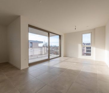 Schelle - Appartement - Foto 2