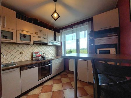 Legionowski, Jabłonna, Sadowa - Zdjęcie 3