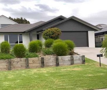 Ohauiti Spacious Home - Photo 5