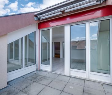 Über den Dächern von Kölliken muss die Wohnqualität wohl grenzenlos... - Photo 1