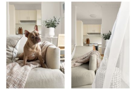 Dee Why, 7/6 Holborn Avenue - Photo 5