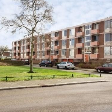 Rochussenstraat, 6535 VC Nijmegen, Nederland - Foto 4