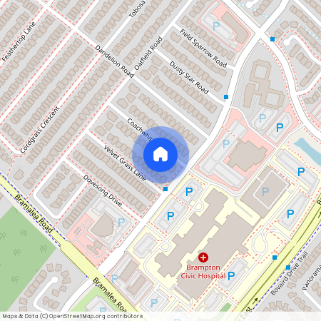 48 Coachwhip Road, Brampton