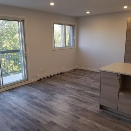Nouveau 4 1/2 à louer Greenfield Park Longueuil Rive-Sud 1er août - Photo 3