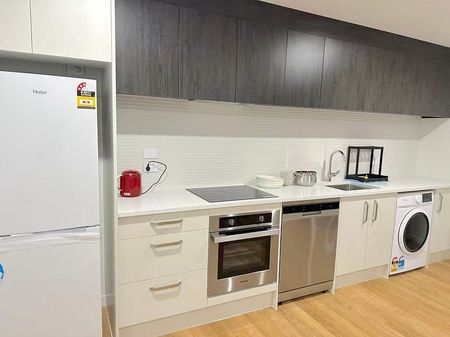 Centrally located fully furnished brand new home - Photo 2