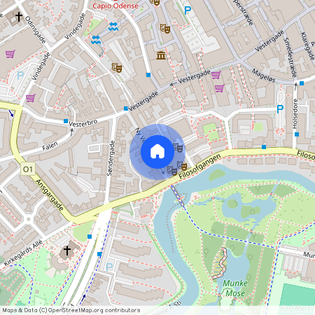 Ny Vestergade 16, 2., 5000 Odense C