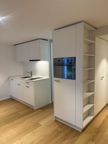 Erstbezug nach Umbau! Studio mit Einfamilienhauscharakter! - Foto 5