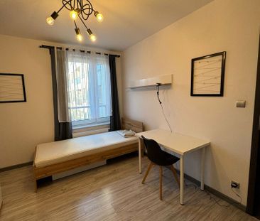 Mieszkanie rozkładowe 1 pokój 11 m² Wrocław-Śródmieście - Ołbin - Zdjęcie 2