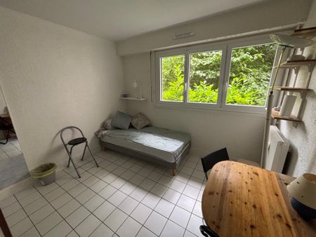 Location Appartement 1 pièce 10m² BOURG LA REINE 92340 - Photo 4
