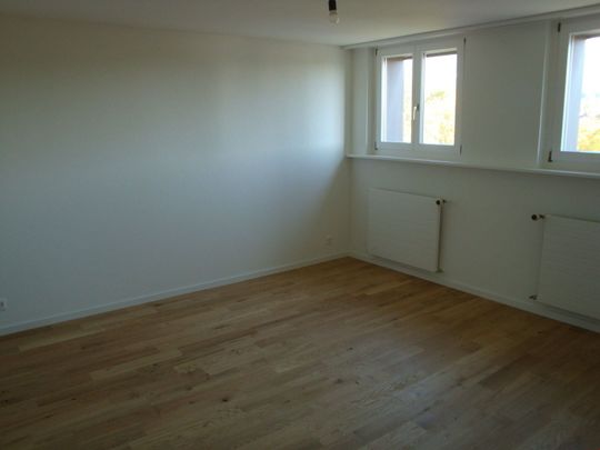 Über den Dächern von Solothurn - Dachwohnung wartet auf neue Mieter - Photo 1