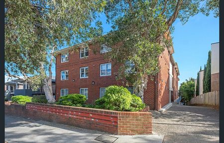 43/85 Beauchamp Street, Marrickville NSW 2204 - Apartment For Rent | Domain - Photo 2