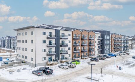 Pine: Grey Cabinets – 225 Peguis, Winnipeg, MB - Photo 5