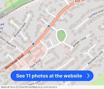 Pine Road, Four Marks, Alton, Hampshire, GU34 - Photo 1