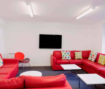 Large Standard Double Studio - Photo 3