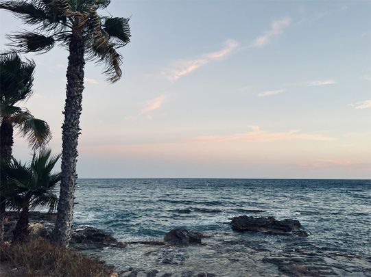 Piso de alquiler en Camino del Paellero, 4, Pinar del Advocat - Cometa - Photo 1