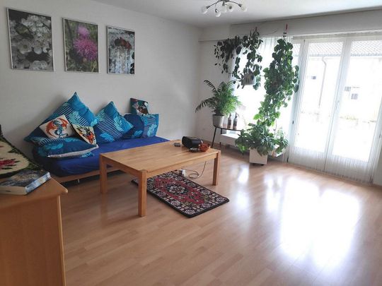 3 Zimmerwohnung in kinderfreundlichem Quartier - Photo 1