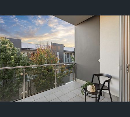 Unit 3/6A Tyne Pl, Unley, SA 5061 - Photo 2