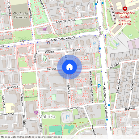 ul. Bielska, Malinka, Opole, opolskie