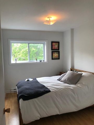 Appartement à louer - Montréal (Le Plateau-Mont-Royal) (Le Plateau-Mont-Royal) - Photo 2