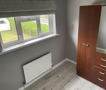 10 Malachy Conlon Park, Culloville, Newry, BT35 9AN - Photo 6