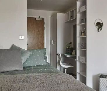 Standard Studio - Photo 5