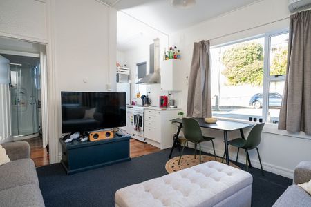 Spacious 1 Bed in Mt Vic with Carpark - Photo 4