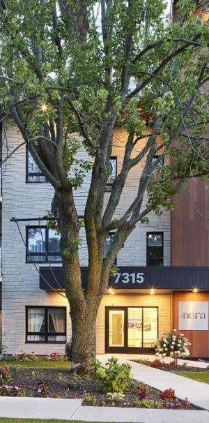 Aera St-Thomas Condo 4 1/2 pour 1er dec St-Hyacinthe à louer - appartement / logement - Photo 1