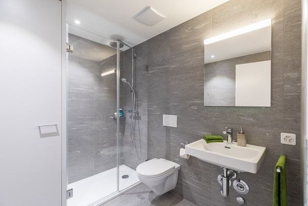 Bijou in the heart of Basel - Foto 1