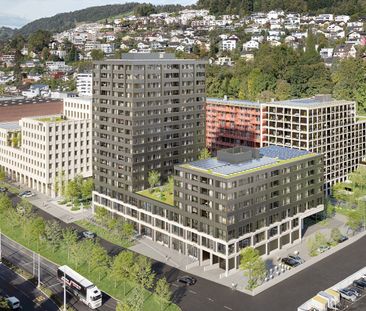 5 ½ Zimmer-Wohnung in Kriens mieten - Foto 2