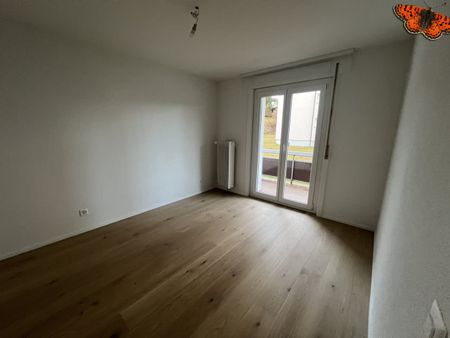 2 Zimmer, EG - Photo 5