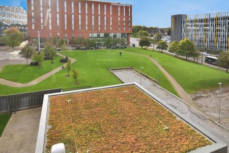 Studio to rent - Photo 3