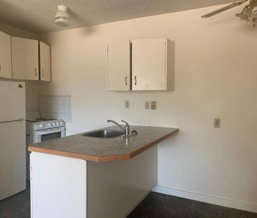 1 Bedroom Pet Friendly Apartments at Bridgeview!! - Photo 1